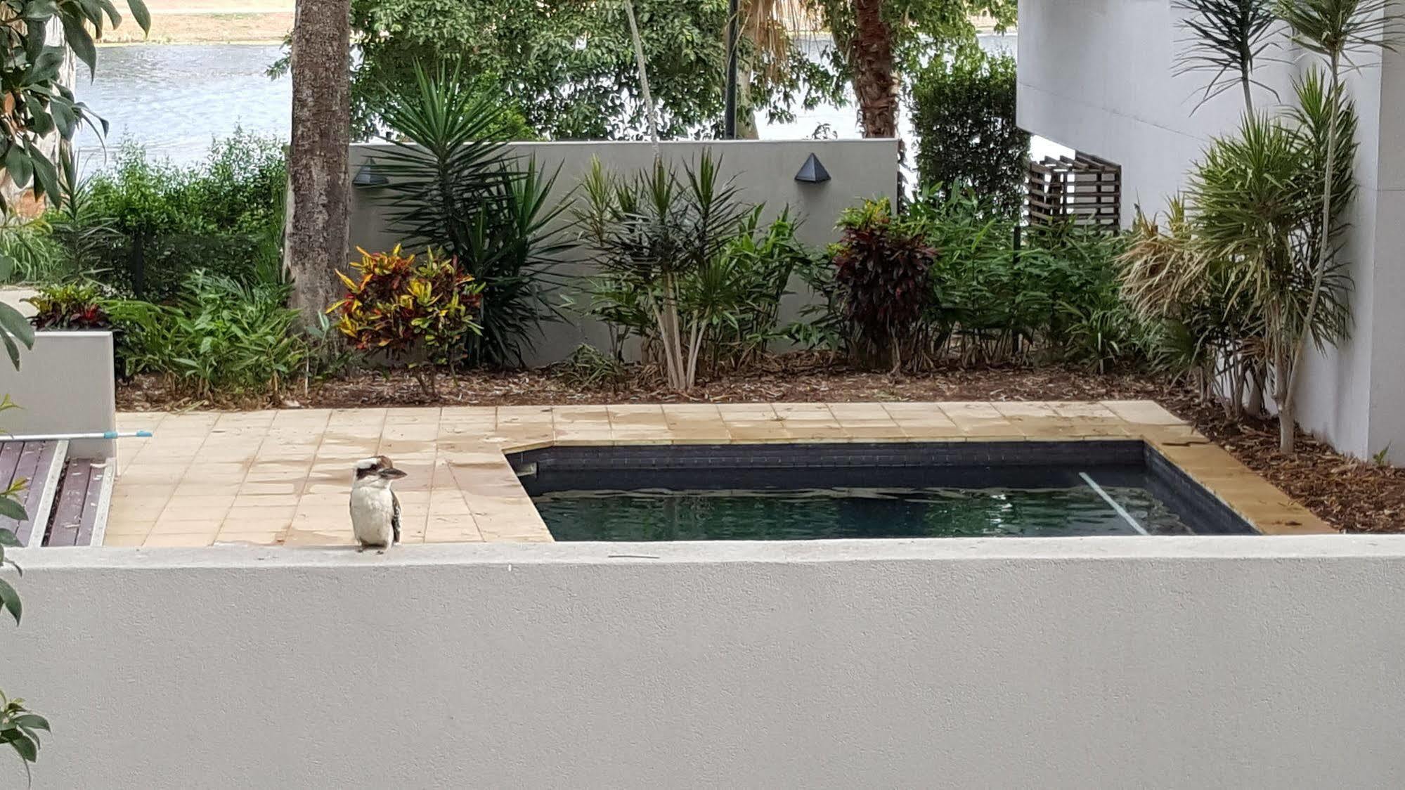 Jacana Apartments Townsville Exterior foto